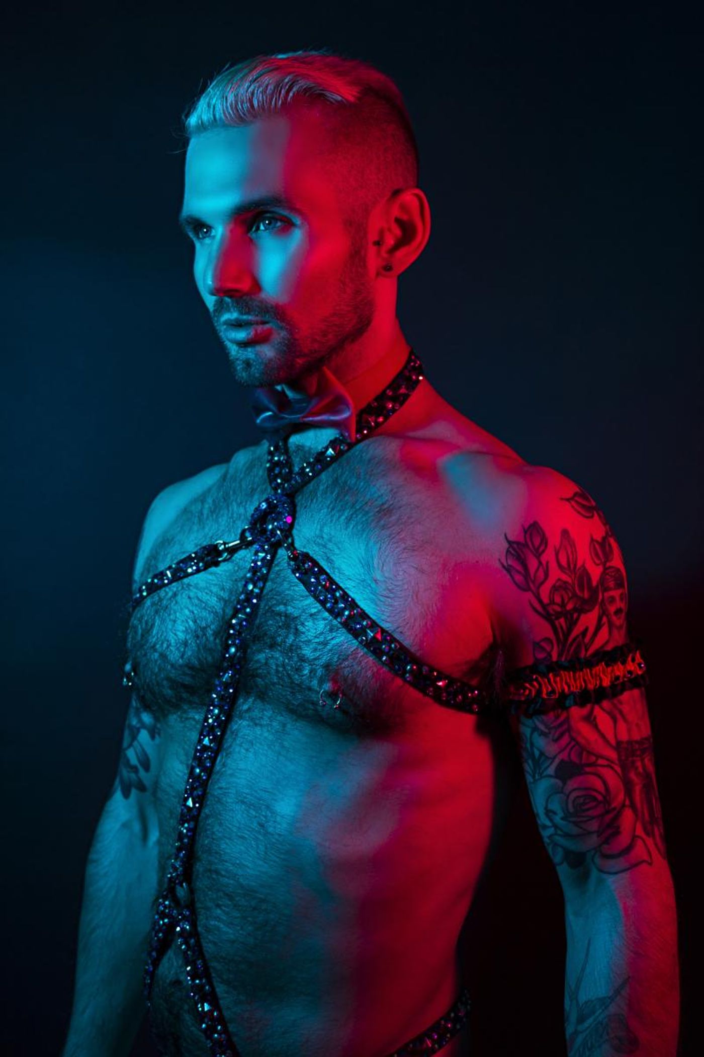 Review: Chris Harder's PORN TO BE A STAR Offers Witty Social Commentary  Image