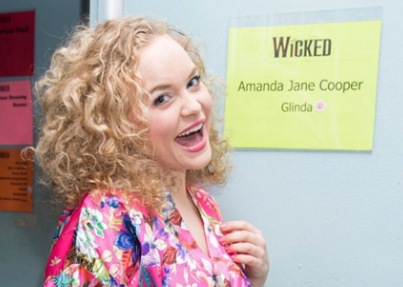 Curtain Up! BroadwayWorld Looks Back on 2017's Memorable Broadway Debuts  Image