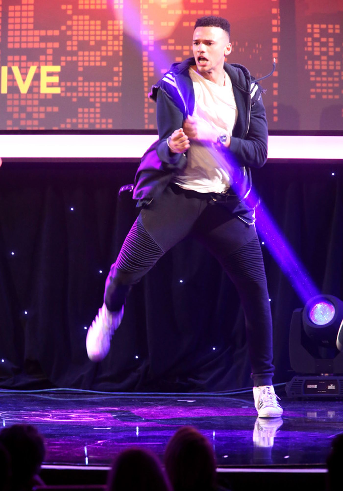 Photo Flash: Kristin Chenoweth, Tom Ford, Shoshana Bean, Carol Burnett and More at 2017 TrevorLIVE Gala  Image