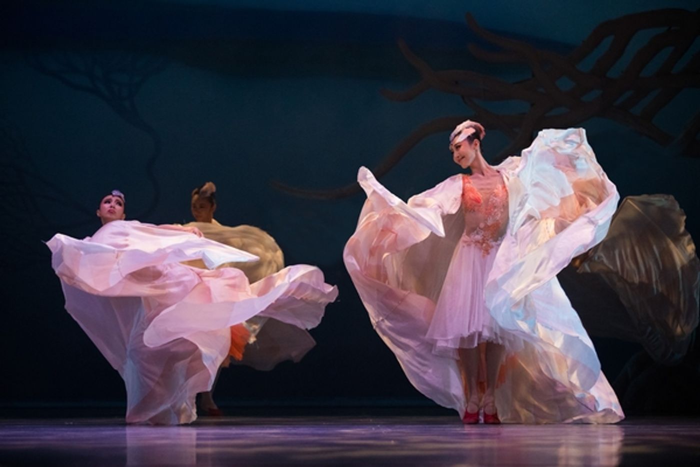 Photo Flash: First Look at Shanghai Dance Theatre's SOARING WINGS, Coming to Lincoln Center This Winter  Image