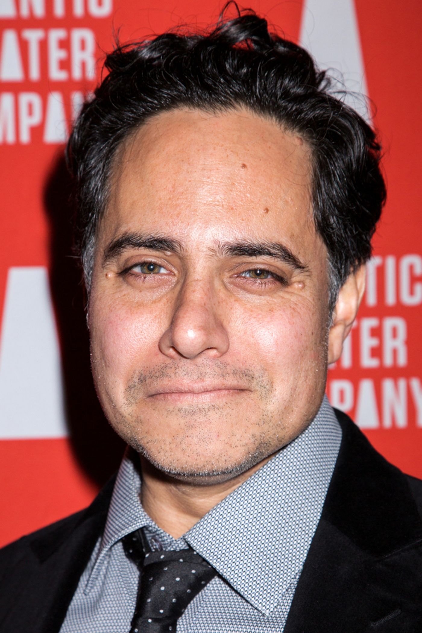 Photo Coverage: Atlantic Theater Company Celebrates Opening Night of DESCRIBE THE NIGHT  Image