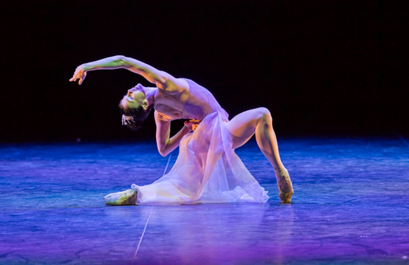 Photo Flash: First Look at Project Polunin's SATORI  Image