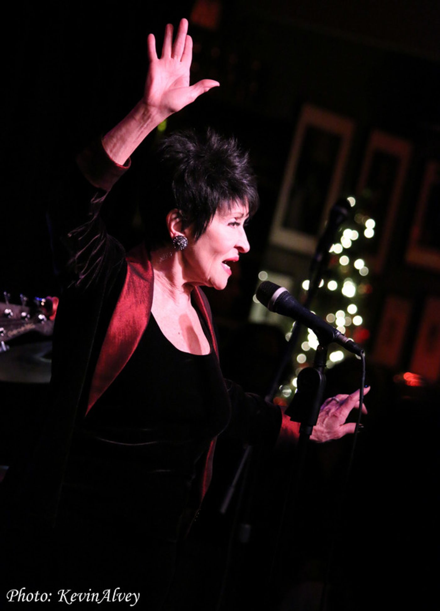 Photo Flash: Chita Rivera, Jessie Mueller, Christy Altomare and More Sing for the Art Attack Foundation at Birdland  Image