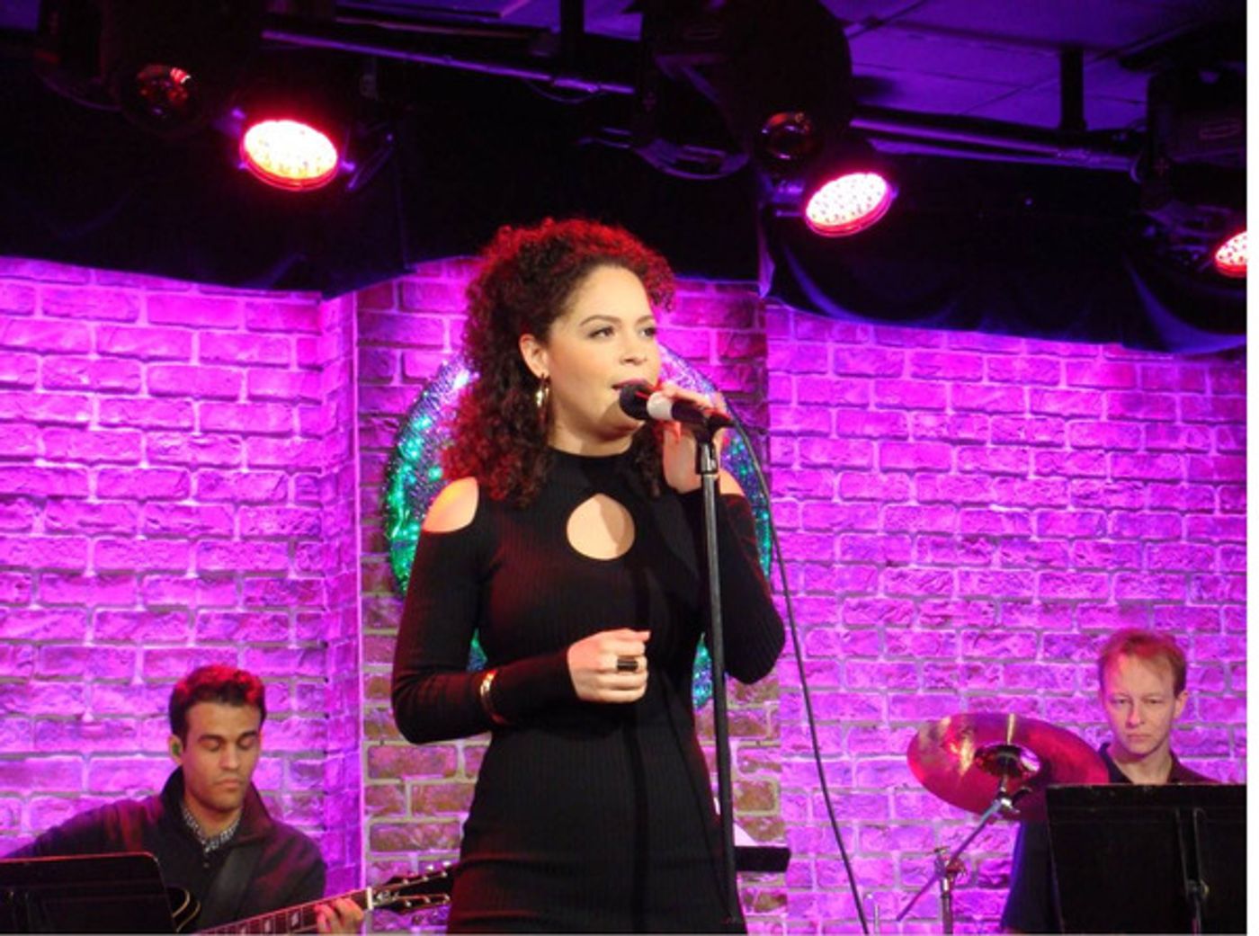 Photo Flash: Doreen Montalvo Hosts Puerto Rico Benefit THIS IS WHAT AN AMERICAN LOOKS LIKE  Image