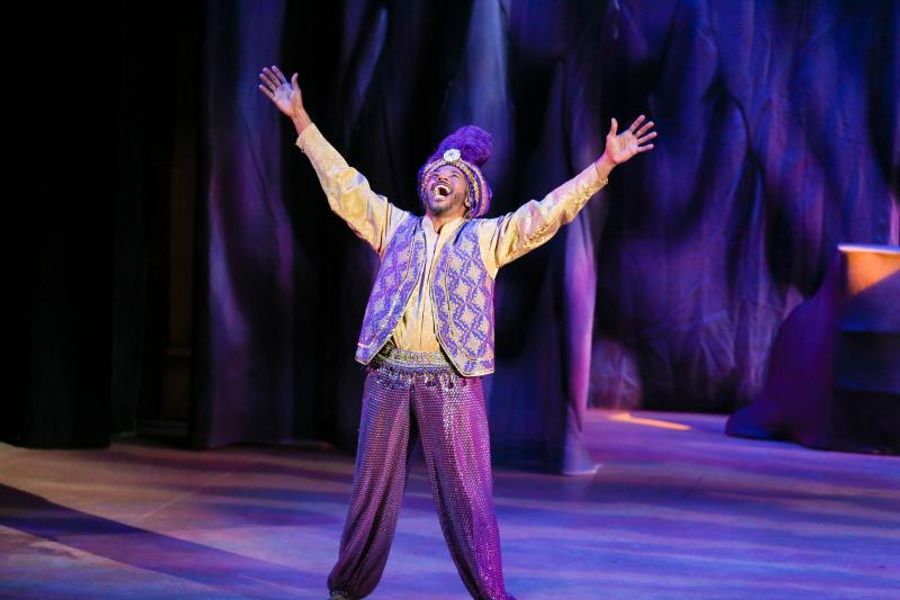 Review: ALADDIN AND HIS WINTER WISH Panto Makes Laguna Playhouse Merry Image