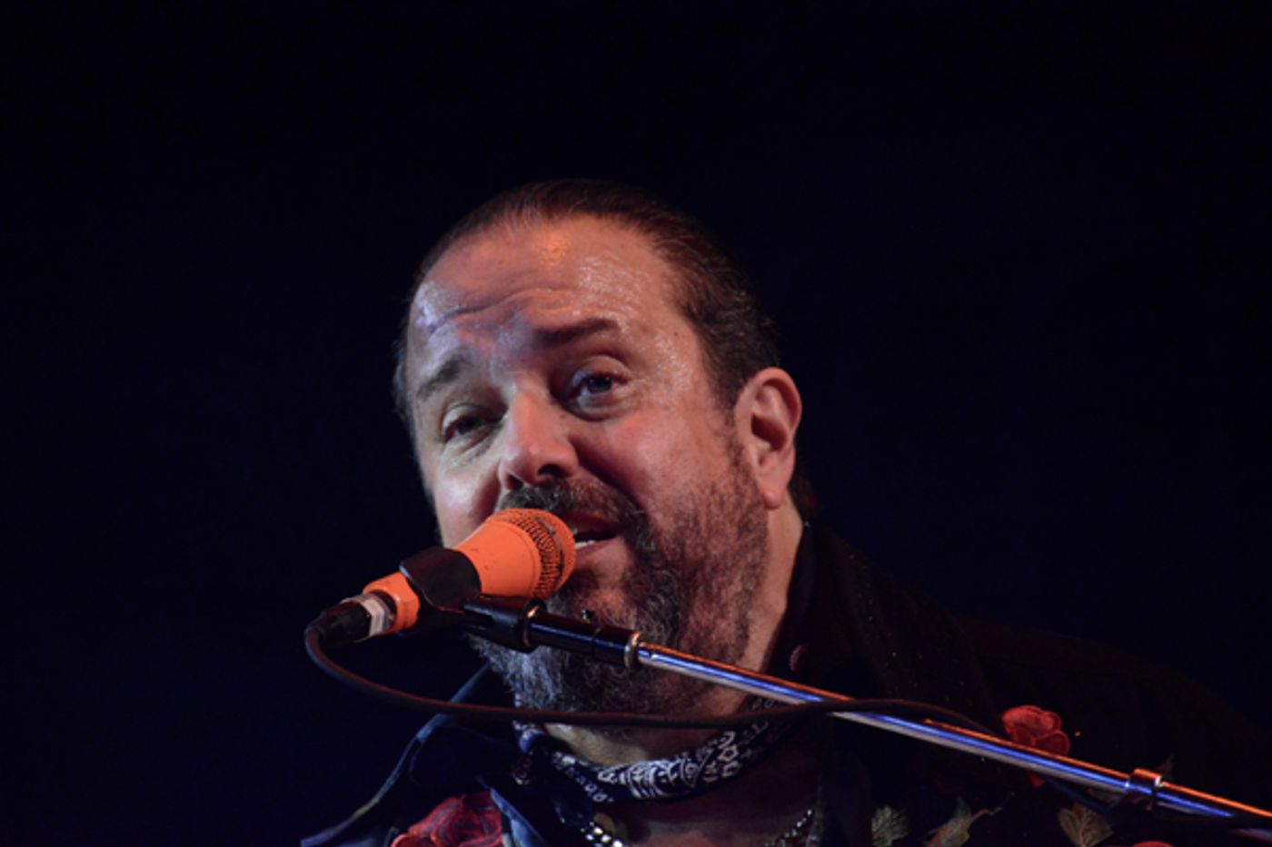 Photo Coverage: The Mavericks Play The Space at Westbury  Image