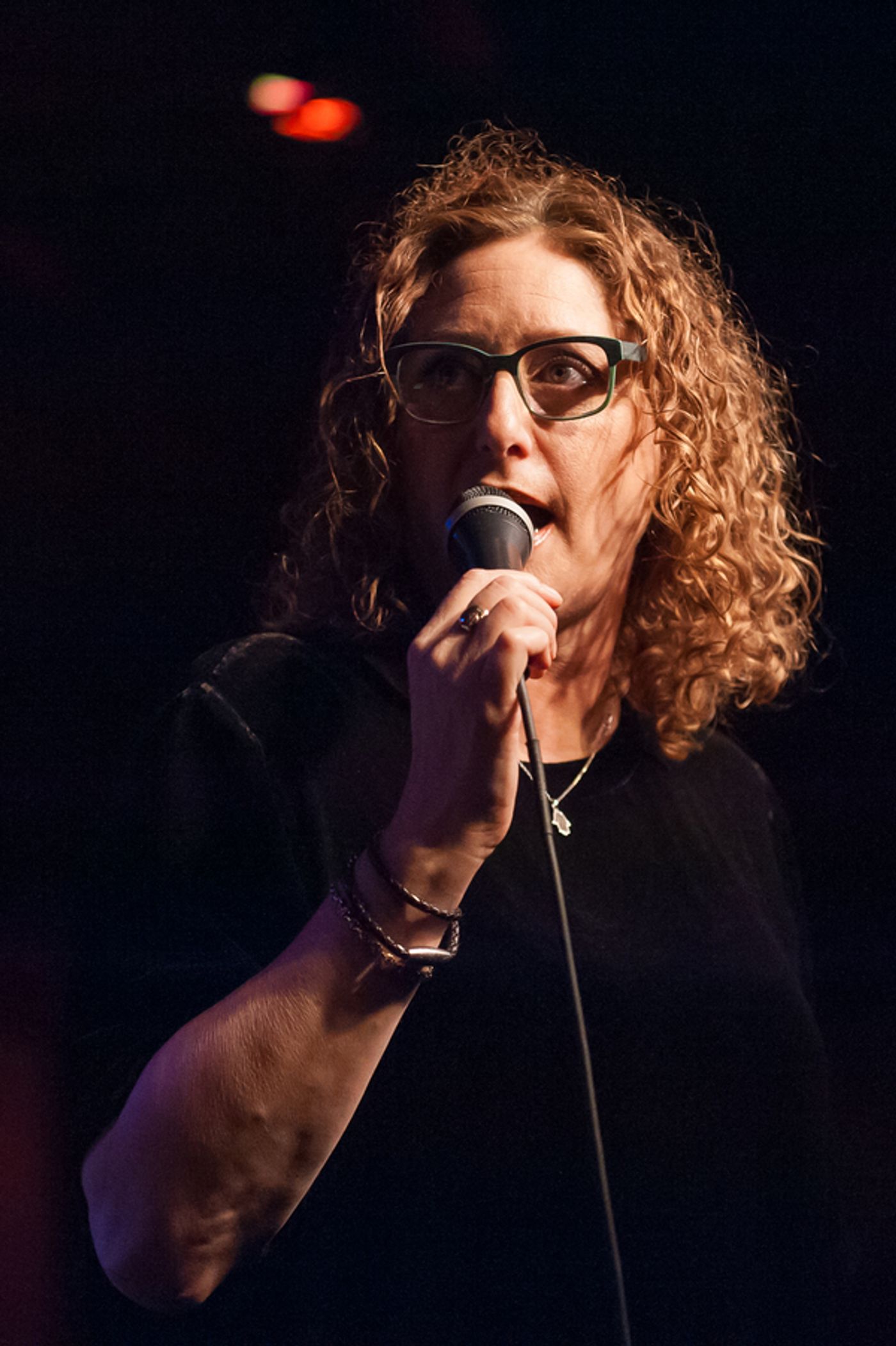 Photo Flash: Stephen Carlile, Sophia Anne Caruso, Judy Gold and More Join Jamie deRoy for Holiday Concert at Birdland  Image