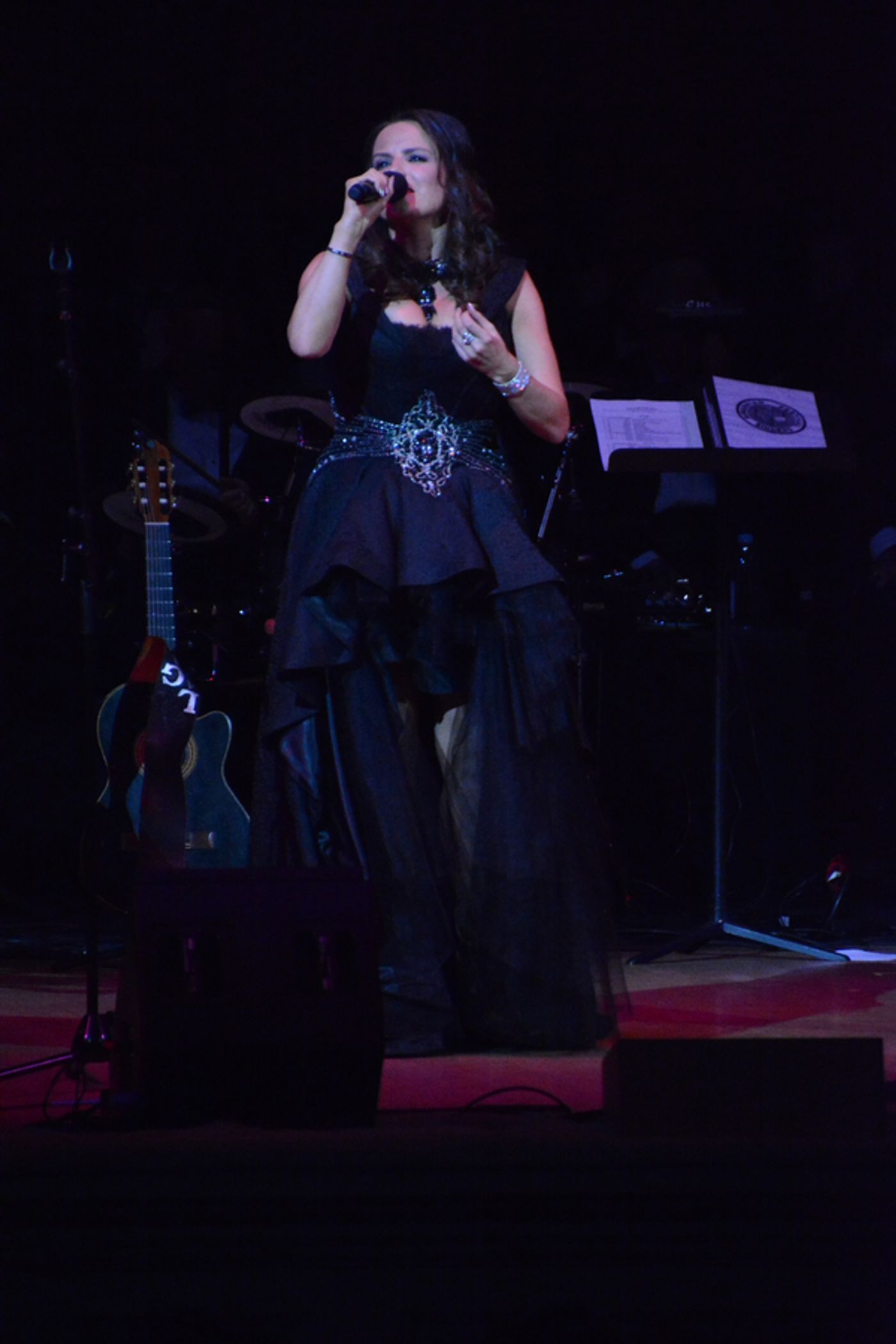 Photo Coverage: Andy Cooney Celebrates Christmas at Carnegie Hall  Image