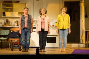 Ron Cook, Francesca Annis, Deborah Findlay Photo