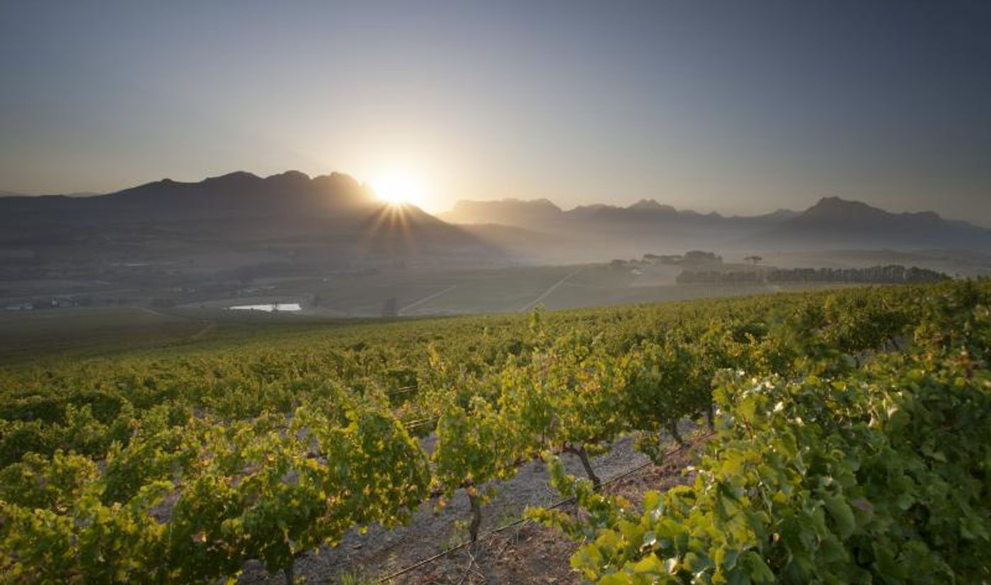 10 Wines from QUINTESSENTIAL for Pairings that Elevate Your Holidays 10 Wines from QUINTESSENTIAL for Pairings that Elevate Your Holidays Image