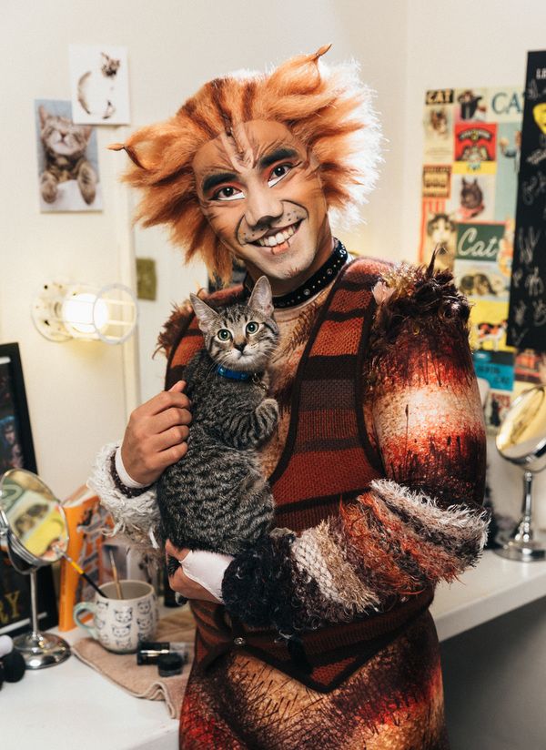 Aaron J. Albano of the CATS cast and an adoptable shelter kitten from The Humane Soci Photo