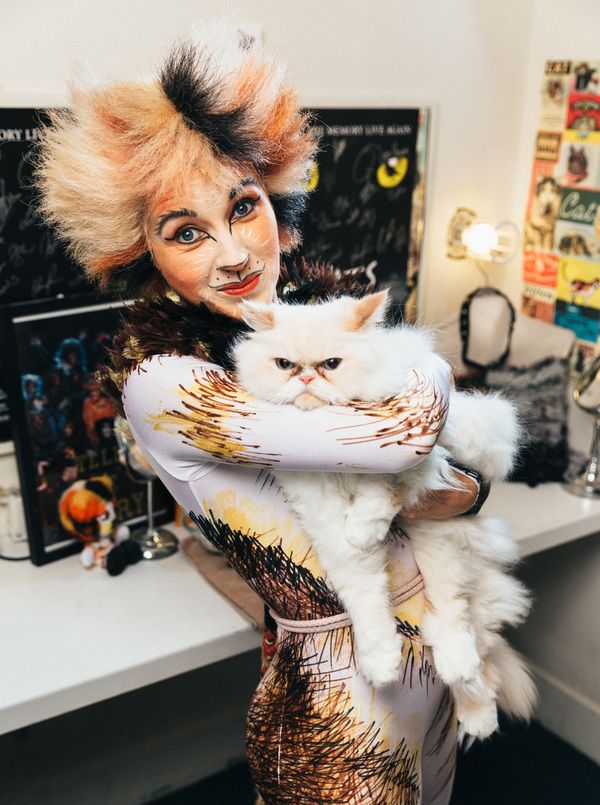 Adoptable shelter cat from The Humane Society of New York appears backstage with Sara Photo