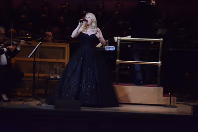 Megan Hilty Photo