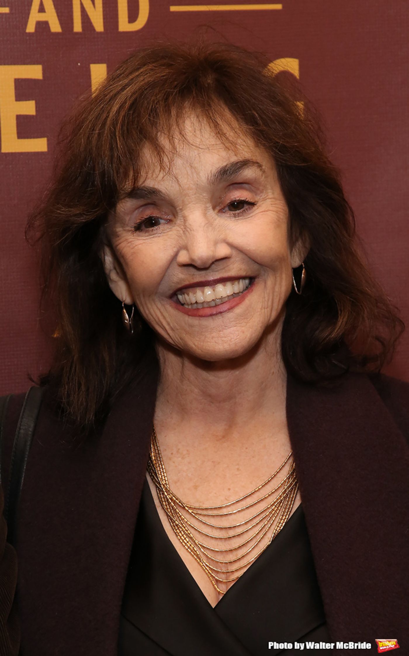 Photo Coverage: On the Red Carpet at Opening Night of FARINELLI AND THE KING  Image