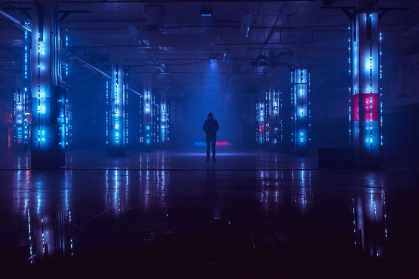 Photo Flash: DAY FOR NIGHT Proves #HoustonStrong featuring Solange, Ryoji Ikeda, Nine Inch Nails, Cardi B and More  Image