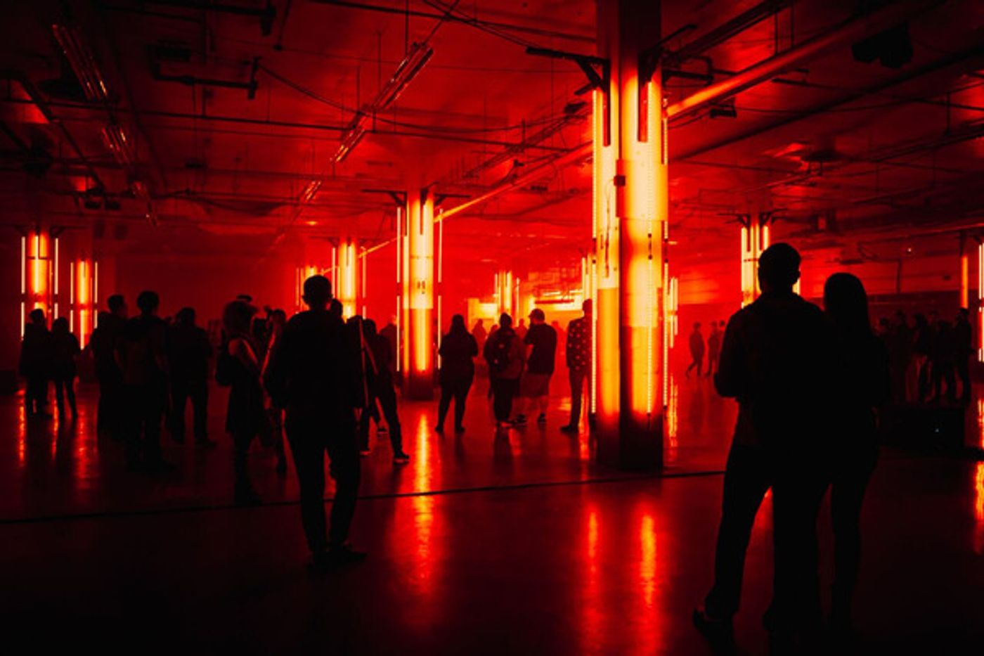 Photo Flash: DAY FOR NIGHT Proves #HoustonStrong featuring Solange, Ryoji Ikeda, Nine Inch Nails, Cardi B and More  Image