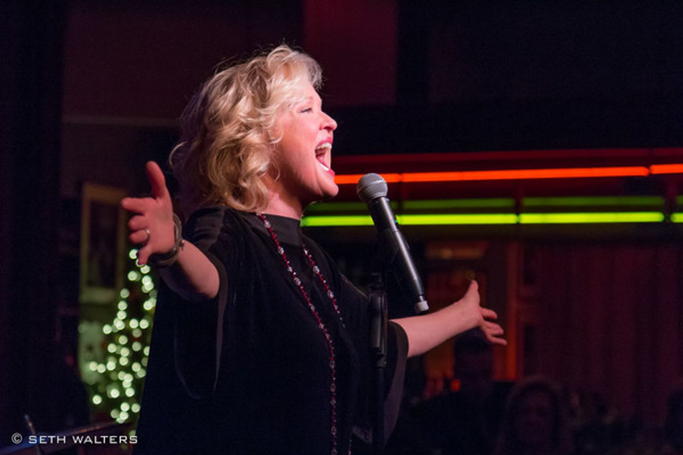 Photo Flash: Christine Ebersole and Billy Stritch Return to Birdland with SNOWFALL  Image