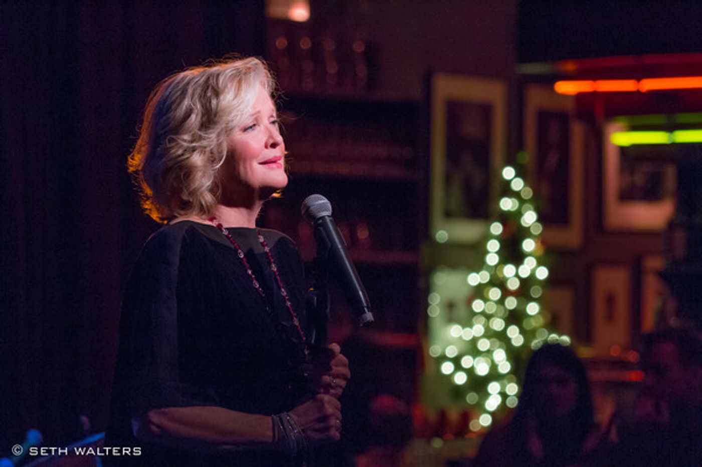 Photo Flash: Christine Ebersole and Billy Stritch Return to Birdland with SNOWFALL  Image