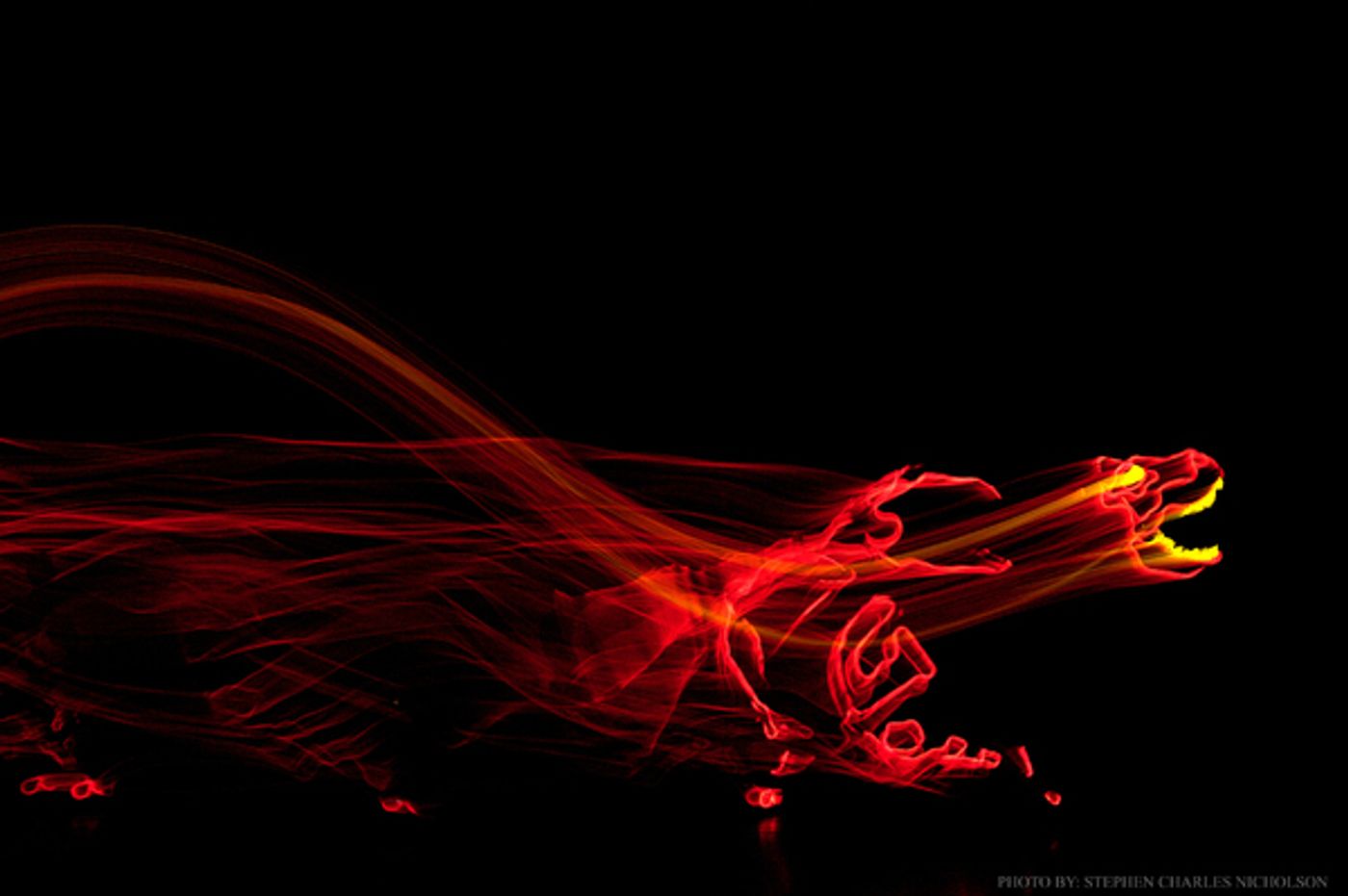 Photo Flash: Lightwire Theater Brings Glow-in-the-Dark Adventure to Raue Center  Image