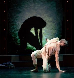 Robert Fairchild Photo