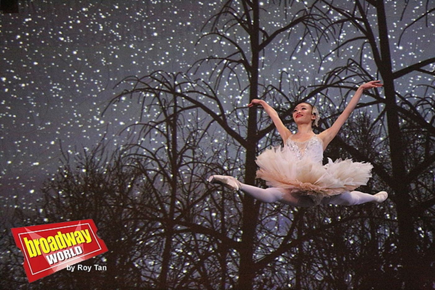Photo Flash: Birmingham Royal Ballet Stages Holiday Favorite THE NUTCRACKER  Image