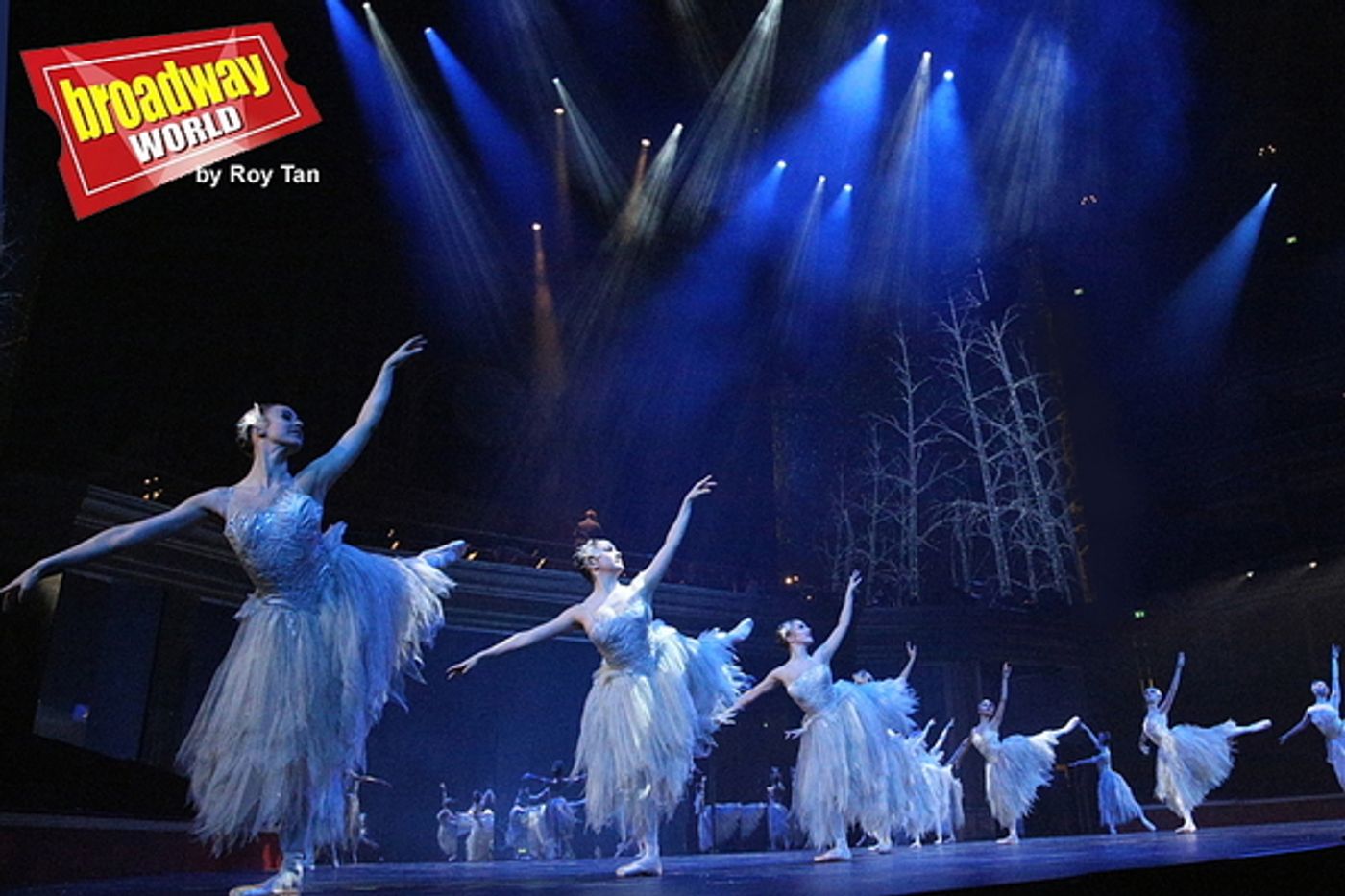 Photo Flash: Birmingham Royal Ballet Stages Holiday Favorite THE NUTCRACKER  Image