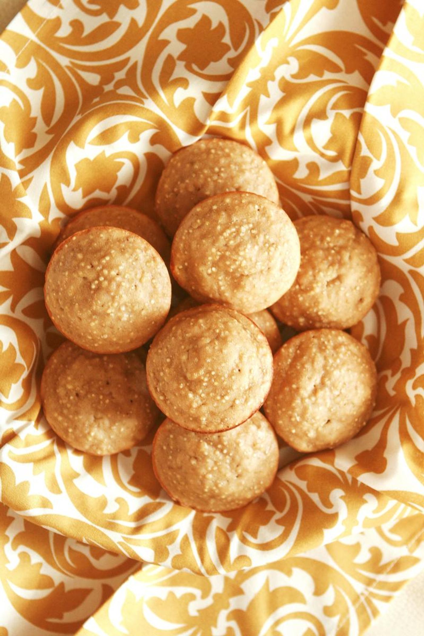 Recipes with FAIRLIFE Ultra-filtered Lactose Free Milk for Healthy Eating in 2018  Image