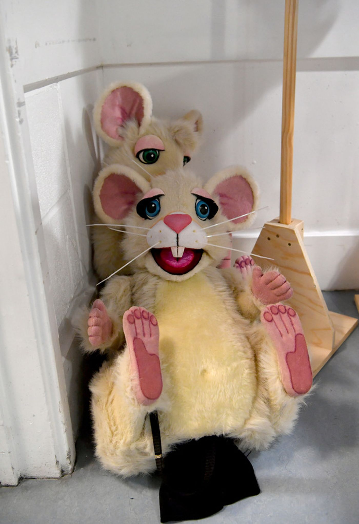 Photo Flash: Birmingham Hippodrome Releases Enchanting New Images From Behind the Scenes Of CINDERELLA  Image