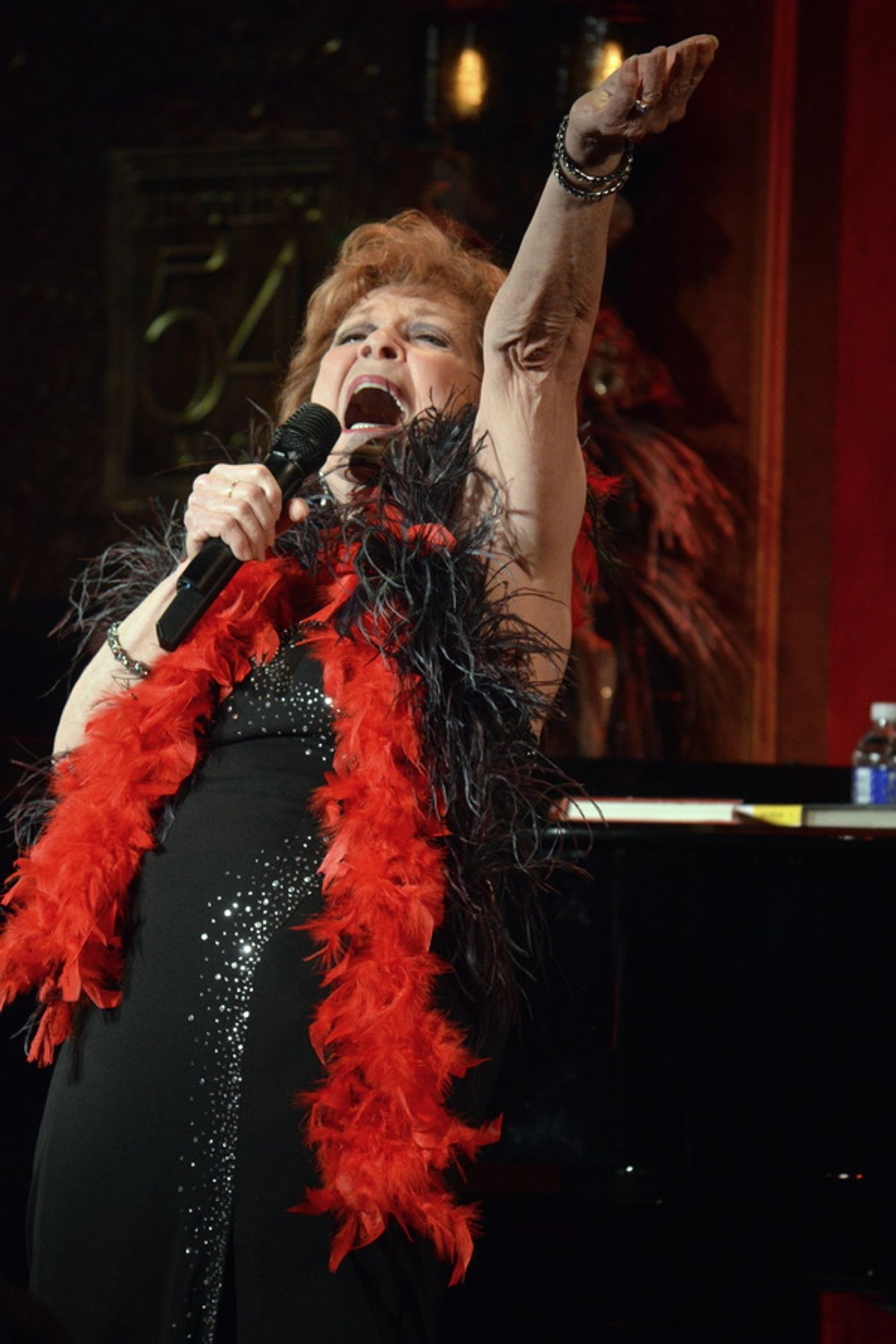 Photo Flash: Ron Fassler Presents UP IN THE CHEAP SEATS at Feinstein's/54 Below  Image