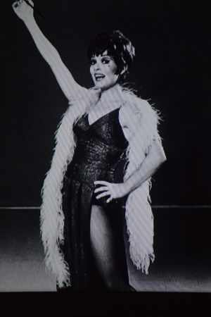 Anita Gillette @ BroadwayWorld Anita Gillette Photo