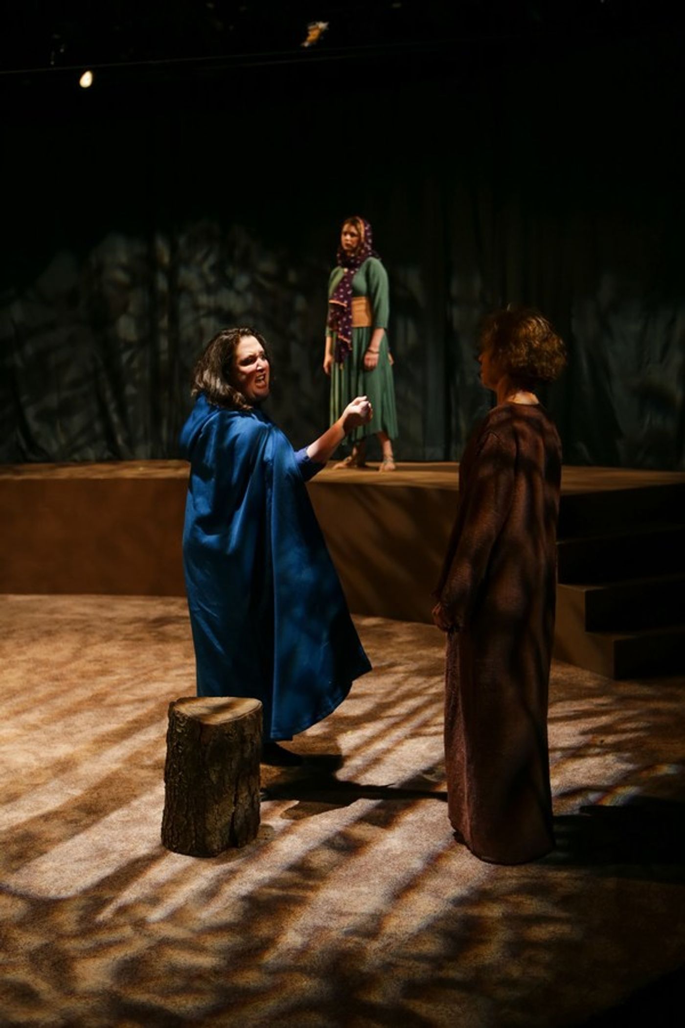 Photo Flash: Seattle Shakespeare presents TIMON OF ATHENS  Image