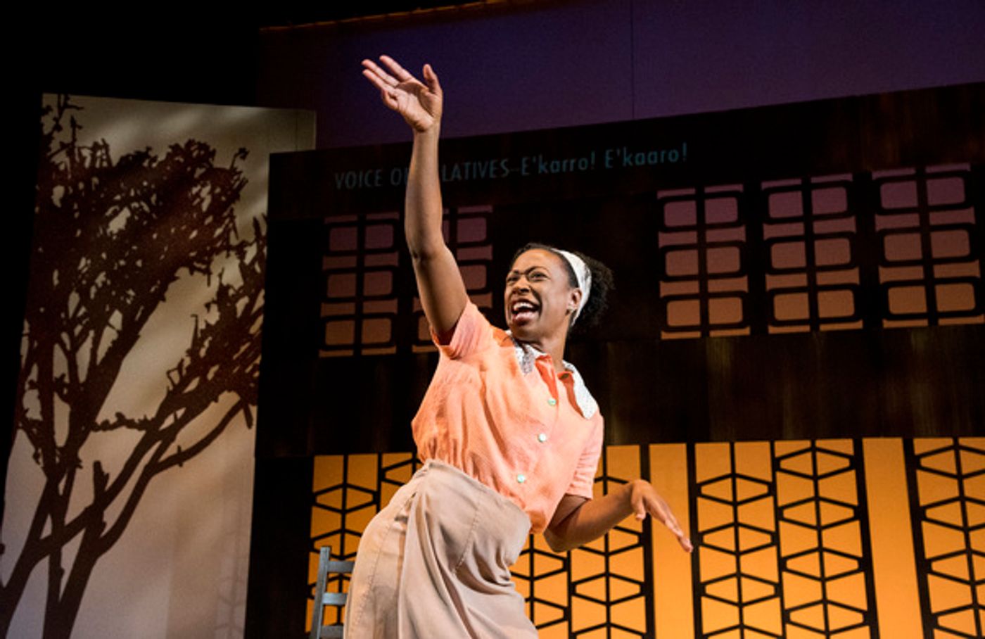 Photo Flash: First Look at Mosaic's World Premiere Production of QUEENS GIRL IN AFRICA  Image