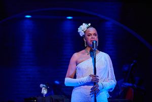 Terry Burrell (Billie Holiday) in LADY DAY (photo by Christopher Bartelski) @ BroadwayWorld Terry Burrell (Billie Holiday) in LADY DAY (photo by Christopher Bartelski) Photo