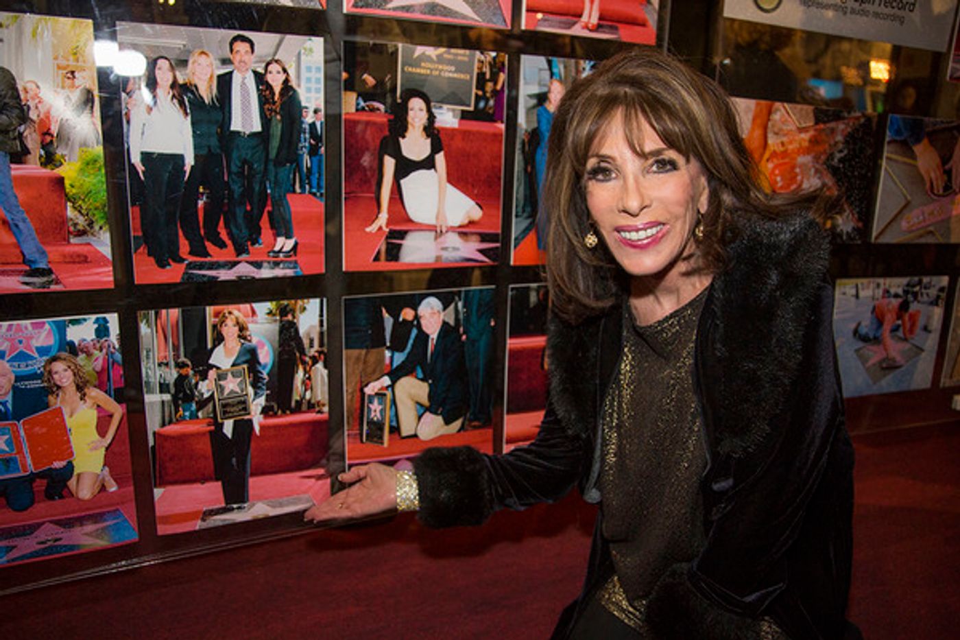 Photo Flash: Original Cast of BATMAN '66 Attends Opening of Retrospective Exhibit  Image