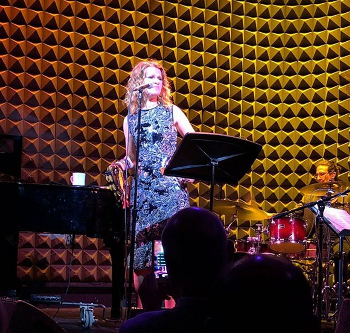 Review: Sandra Bernhard Ushers in a New Dawn with SANDEMONIUM at Joe's Pub  Image