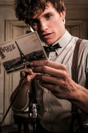 EDDIE REDMAYNE as Newt Scamander in Warner Bros. Pictures' fantasy adventure "FANTASTIC BEASTS: THE CRIMES OF GRINDELWALD," a Warner Bros. Pictures release.
Photo by Jaap Buitendijk
@ BroadwayWorld EDDIE REDMAYNE as Newt Scamander in Warner Bros. Pictures' fantasy adventure "FANTAST Photo