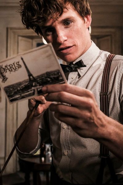EDDIE REDMAYNE as Newt Scamander in Warner Bros. Pictures' fantasy adventure "FANTAST Photo