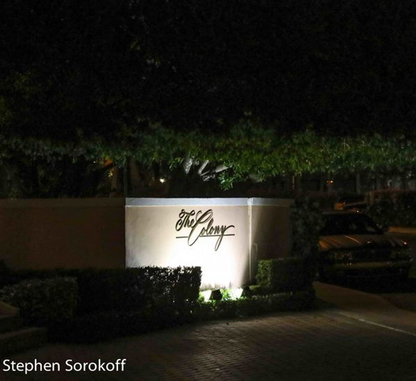 Photo Coverage: Will and Anthony Nunziata Play The Royal Room at The Colony Hotel  Image