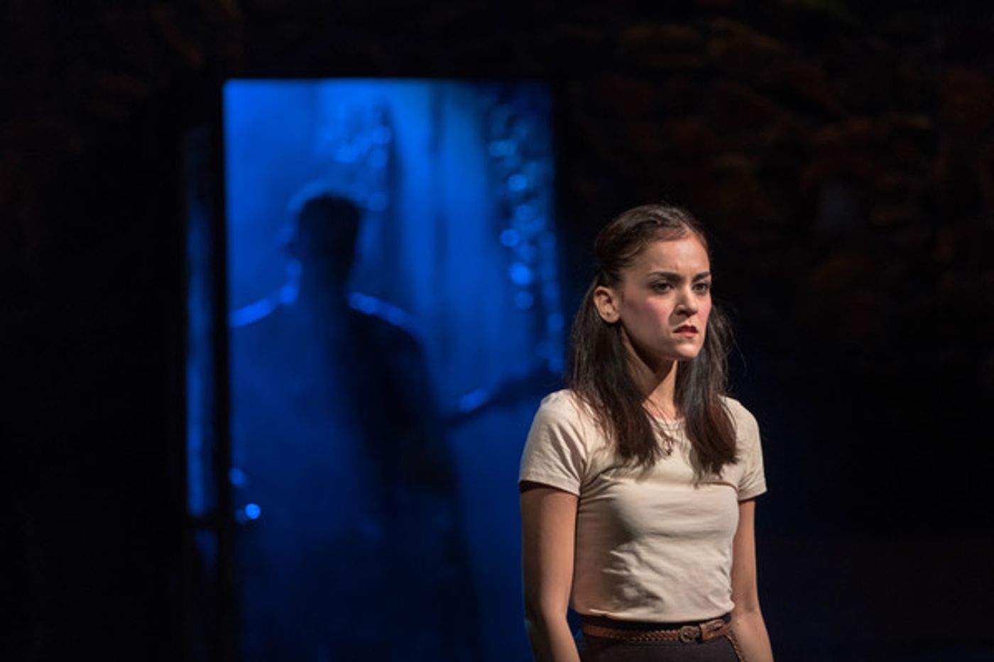 Photo Flash: First Look at ONCE at the John W. Engeman Theater  Image
