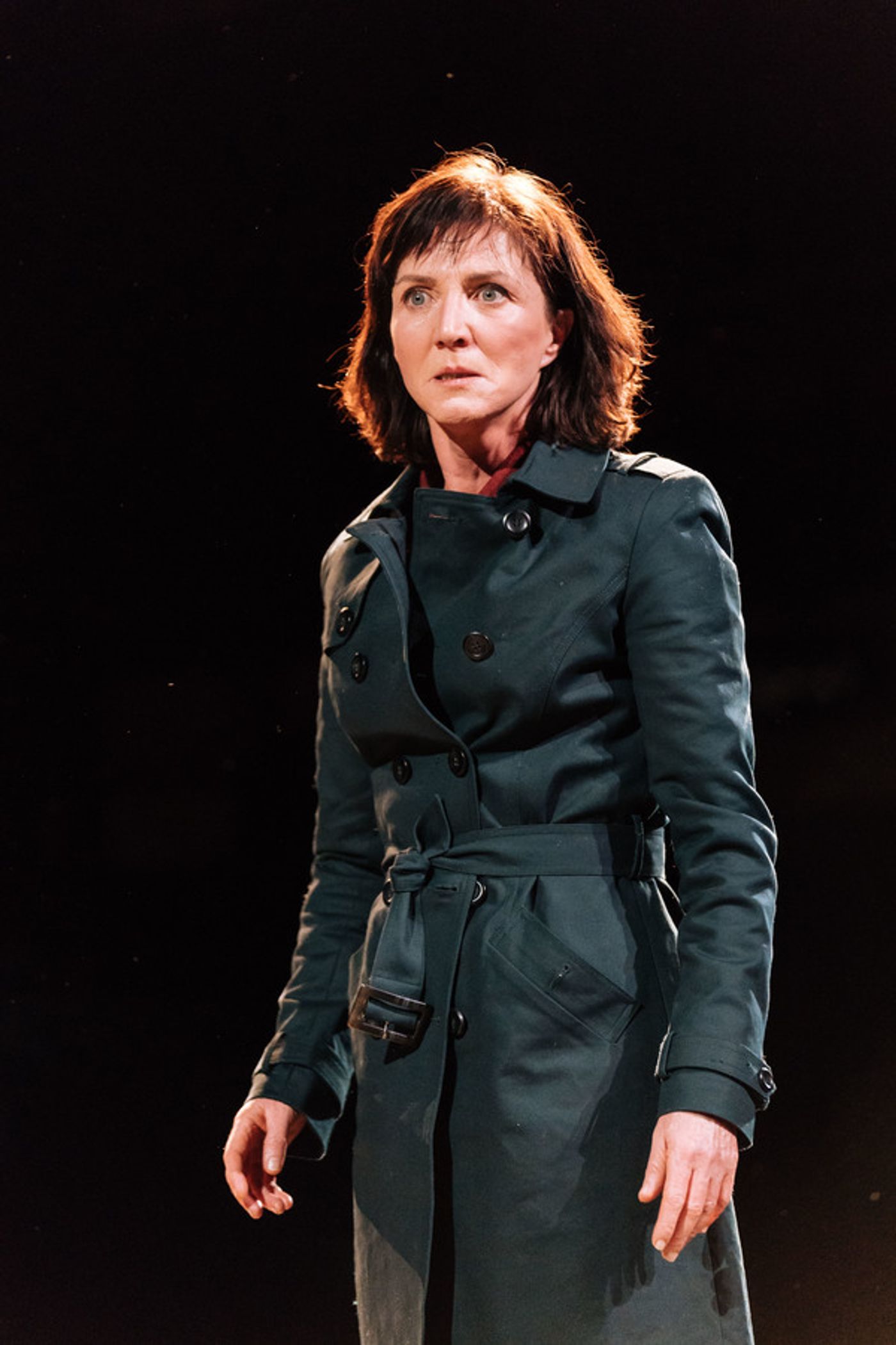Photo Flash: First Look at Ben Whishaw, Michelle Fairley & More in JULIUS CAESAR  Image