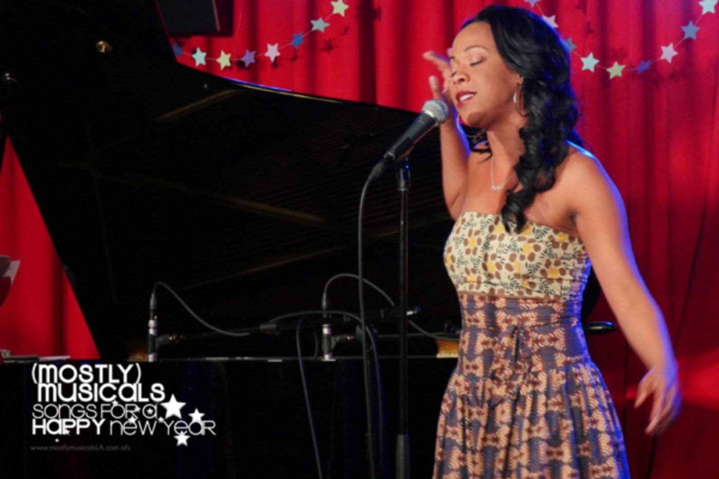 Photo Flash: A Look Back At (mostly)musicals' Celebration Of The New Year And Their 4th Birthday At Vitello's  Image