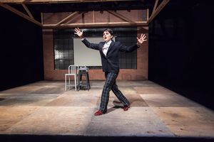 Profile Theatre’s 2.5 Minute Ride by Lisa Kron featuring Allison Mickelson. Photo credit David Kinder. @ BroadwayWorld Profile Theatre’s 2.5 Minute Ride by Lisa Kron featuring Allison Mickelson. Ph Photo