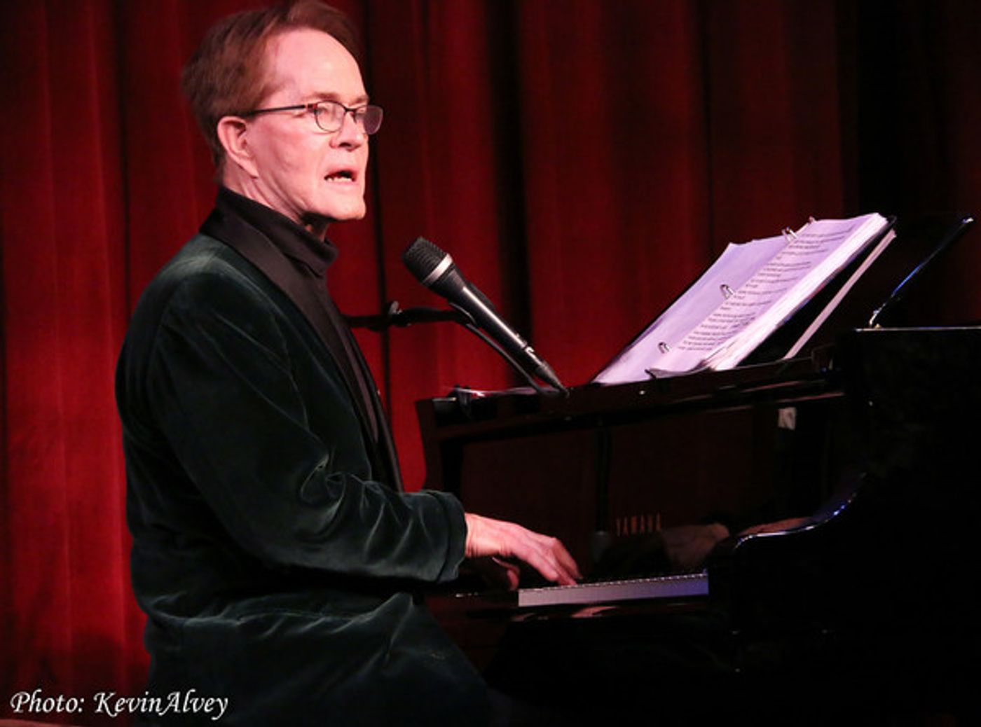 Photo Flash: Steve Ross Brings New Show to Broadway at Birdland  Image