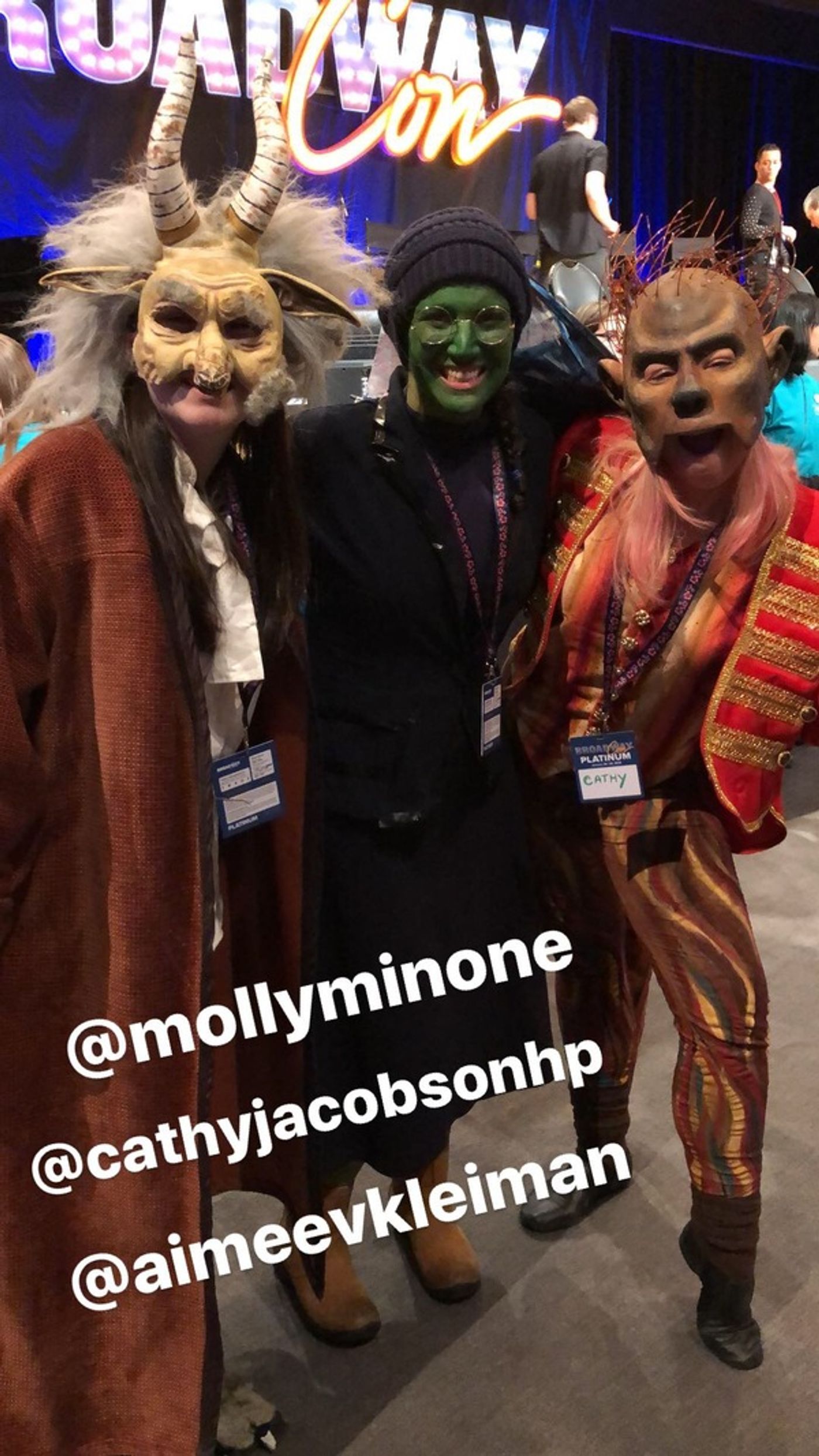 Photo Flash: Broadway's Biggest Fans Get Decked Out in Epic Costumes at BroadwayCon  Image
