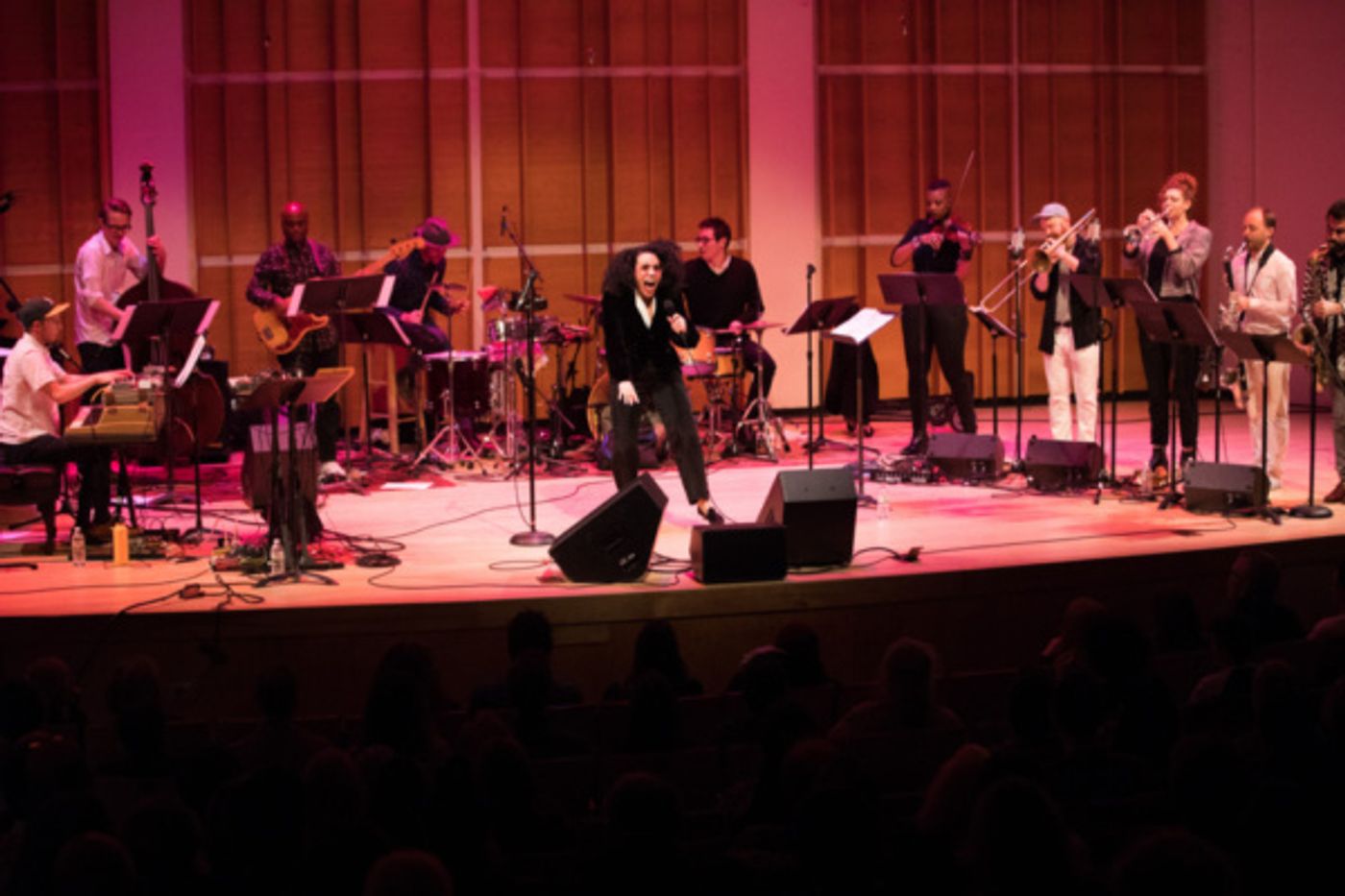 Photo Flash: Kaufman Music Center Presents Ecstatic Music Festival Featuring Xenia Rubinos & Adam Schatz's Civil Engineering  Image