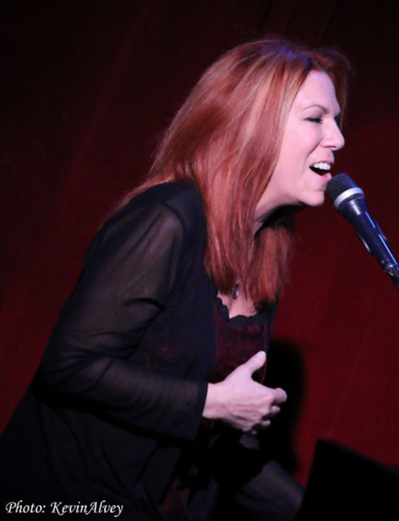 Photo Flash: Broadway at Birdland Presents Victoria Shaw's Under the Covers  Image