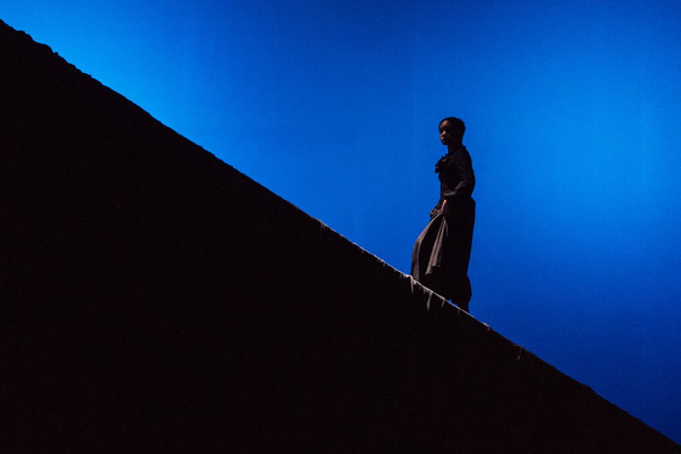 Photo Flash: First Look at THE DIVIDE at The Old Vic  Image