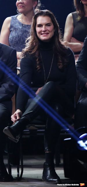 Brooke Shields @ BroadwayWorld Brooke Shields Photo