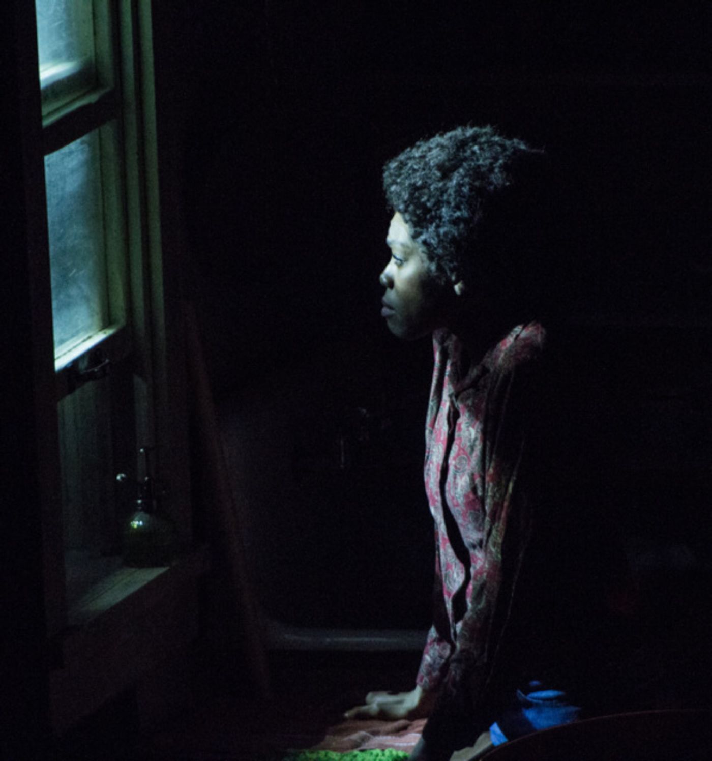 Photo Flash: American Stage Extends A RAISIN IN THE SUN by Popular Demand  Image