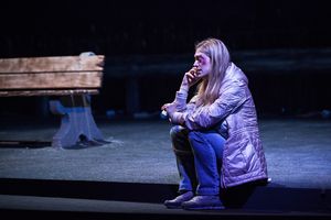 Marin Ireland stars in "Ironbound" at the Geffen Playhouse. Photo by Chris Whitaker.
 Photo